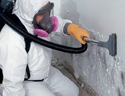 Cotulla, TX Mold Inspection Company